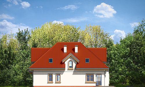 Фасад дома BCK-1485-25 Фасад дома BCK-1485-25