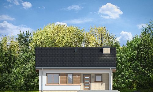 Фасад дома DKB-7146-59 Фасад дома DKB-7146-59